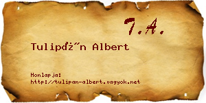 Tulipán Albert névjegykártya